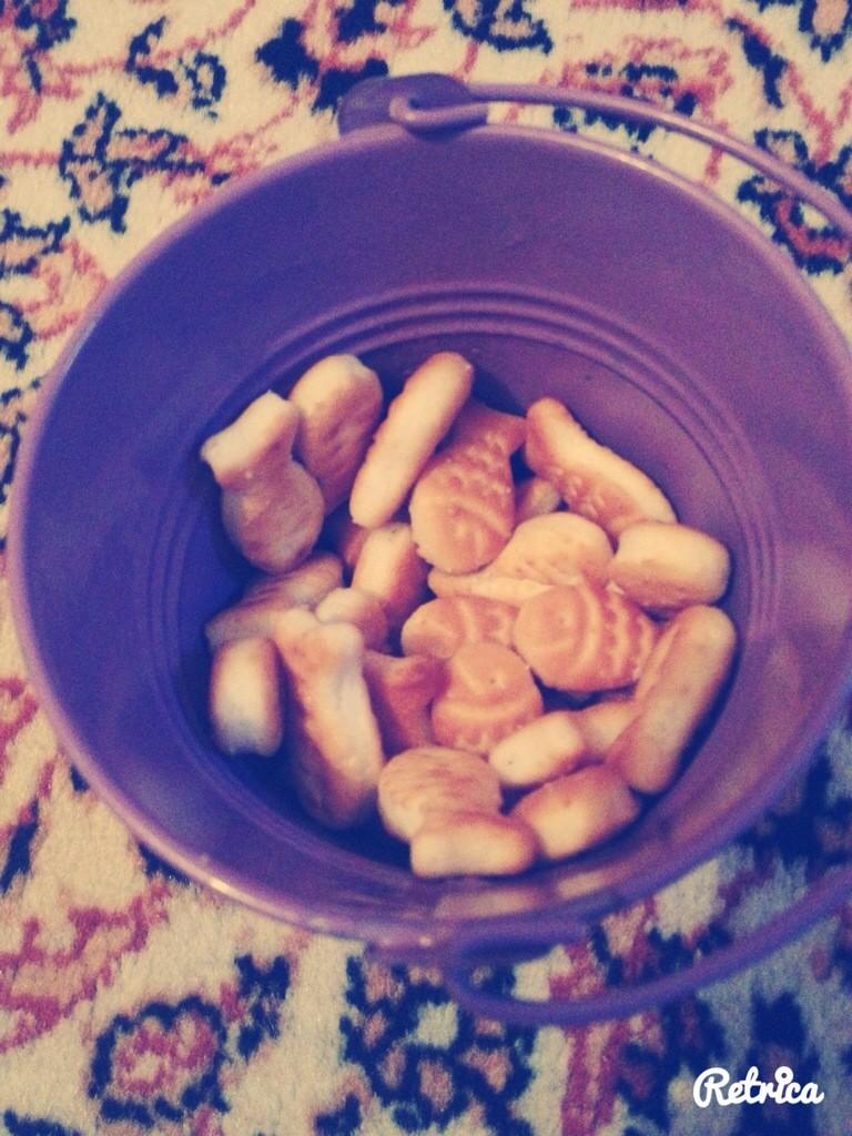 merveakaydn's tweet photo. Ne de cok severmisim ben senii🙈😋 http://t.co/Is3yqs6Yh4