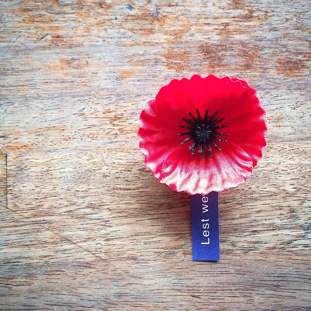 Lest We Forget #RemembranceDay