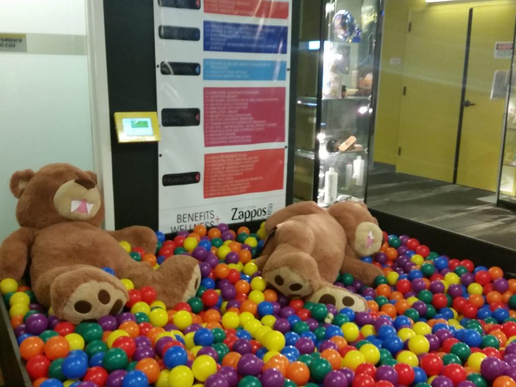 upsydedwnerth's tweet image. #zappostour Ball pit in the HR department.