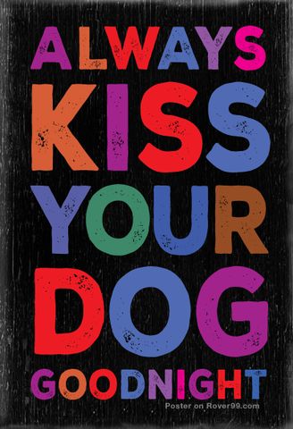 Amigales's tweet photo. Consejos útiles para una vida feliz "SIEMPRE BESA A TU PERRO" #BuenasNoches http://t.co/4XdSqxpOLP #perros #doglover http://t.co/w3udKjrEF6