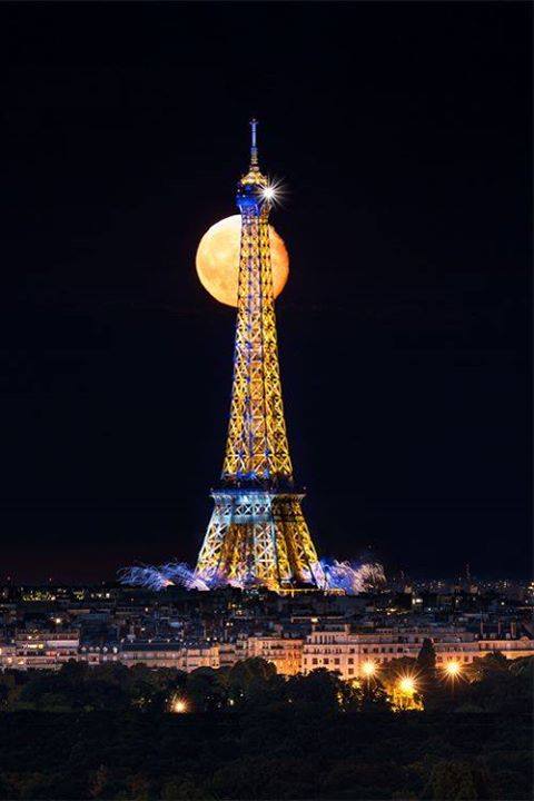 ------* SIEMPRE NOS QUEDARA PARIS *------ - Página 18 B2HtpDwCQAAvbkI