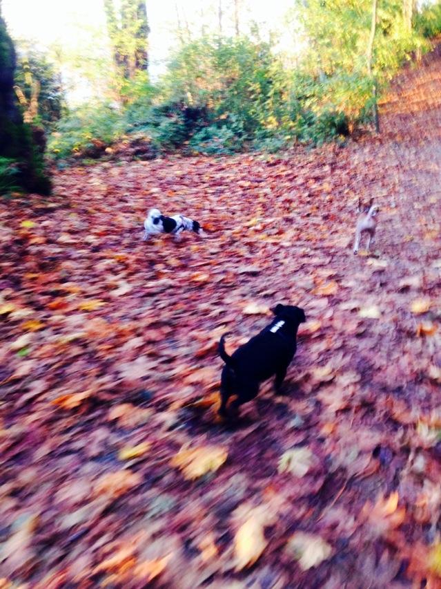 Carla Schricker tweet media