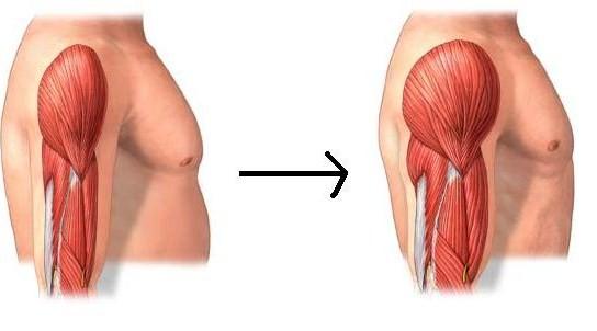 Aumentar masa muscular de forma natural y rápido 
ver- j.gs/4ido