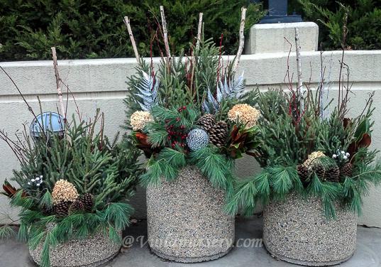 Violanursery's tweet photo. RT Always fun to re-plant client's planters for the change of seasons! #wintercontainers #rochmn http://t.co/5E3cuxCa0G