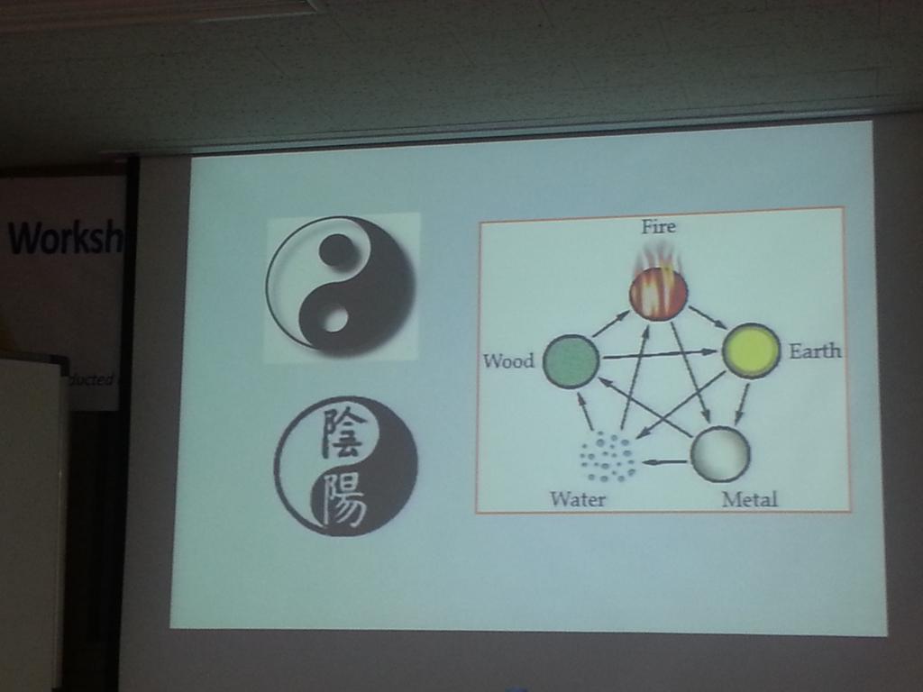 Mphutungwane's tweet photo. Oriental medicine philosophy http://t.co/otJ71NCkue