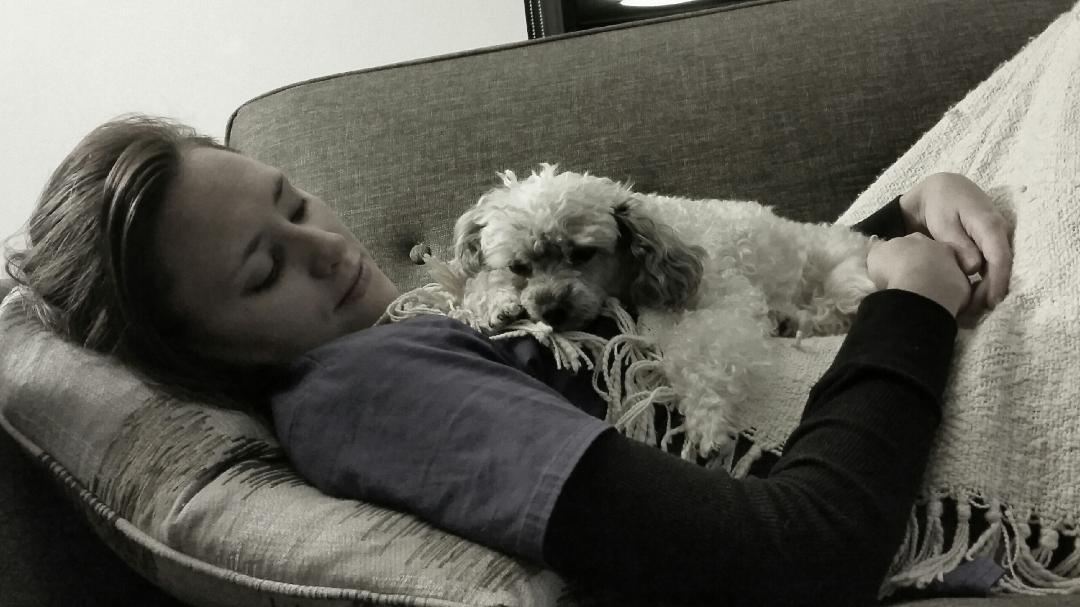 GSNeither's tweet image. So I'm THAT chick. My dog is fucking adorable