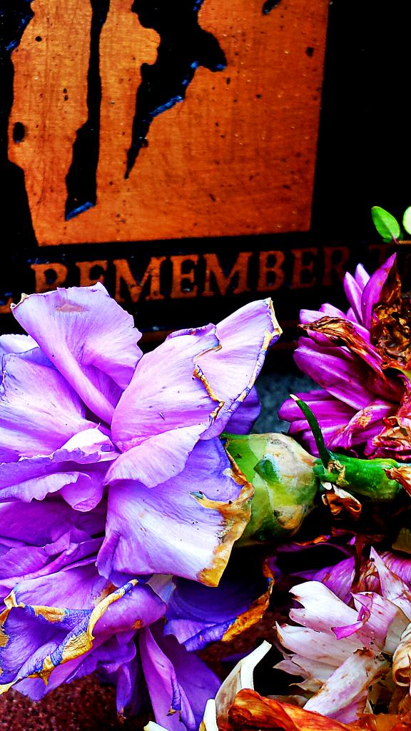 Goldstream_Mkt's tweet photo. #VeteransMemorialPark is ready to #honor fallen #soldiers tomorrow. #HowIRemember #LestWeForget #CanadianPeacekeeper http://t.co/IH8x85tQiz