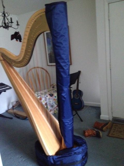 aoconnellharp's tweet photo. keepin' good ol' daphne warm in the winter!!! new boots n scarf! #ithacaharpist #winterharp http://t.co/rDcl6DQzfk