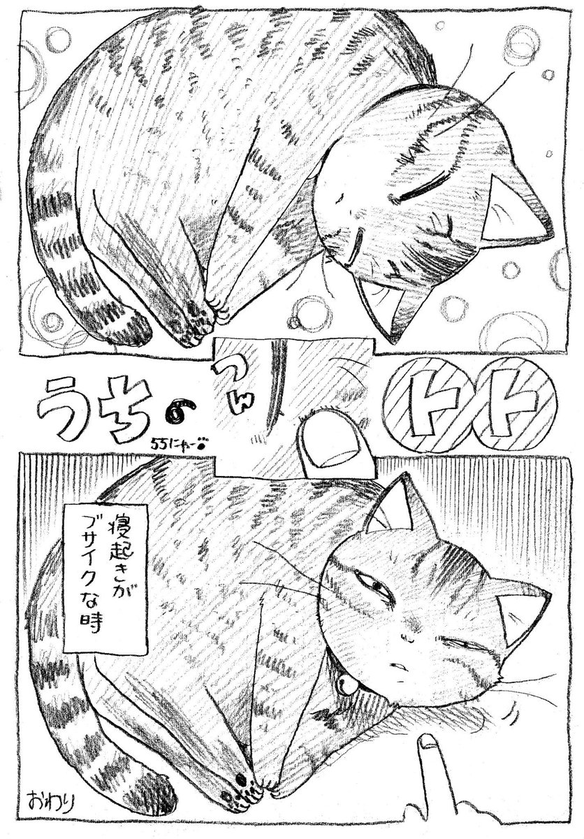 ねこまんが。題55話。11月です。クリスマスが近づいております。心が冷えない準備はおはやめに! 