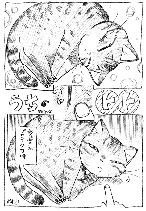 ねこまんが。題55話。11月です。クリスマスが近づいております。心が冷えない準備はおはやめに! 