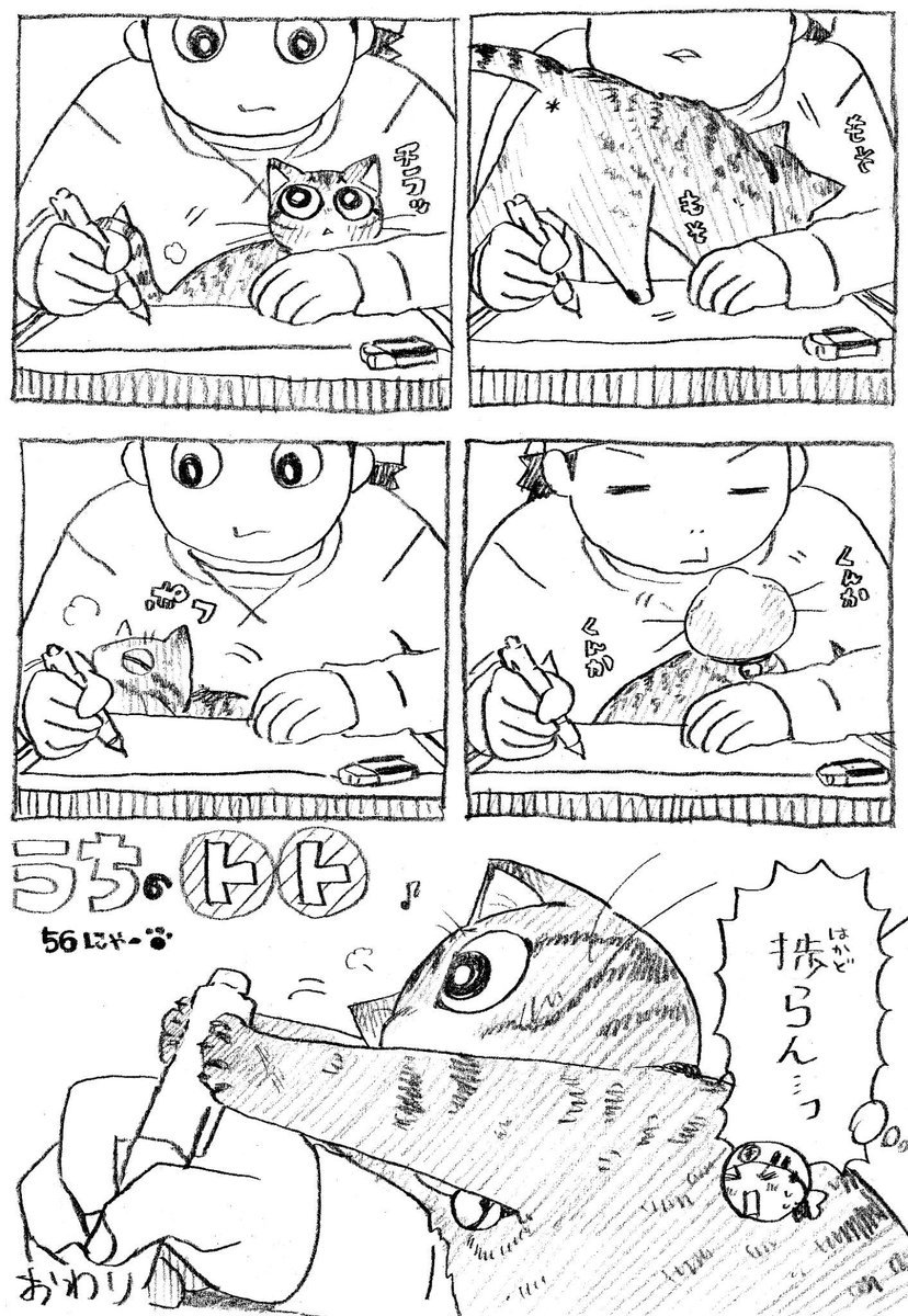 ねこまんが。第56話。コンビニおでんが始まっておりますね。白滝大根蒟蒻ウインナー牛筋が大好物です。餅巾着も忘れずに!!! 