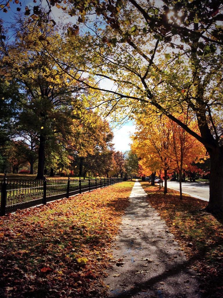 LafSqSTL's tweet photo. Beautiful Fall Day. #stlwx #stl http://t.co/d6q5YXYEWJ
