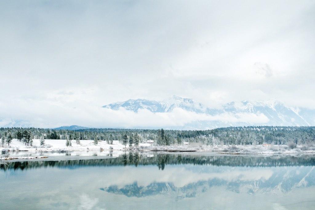 zhao_tyler's tweet photo. #wildlookoutside white mountains Tyler Zhao cranbrook http://t.co/otukbjl6Vi