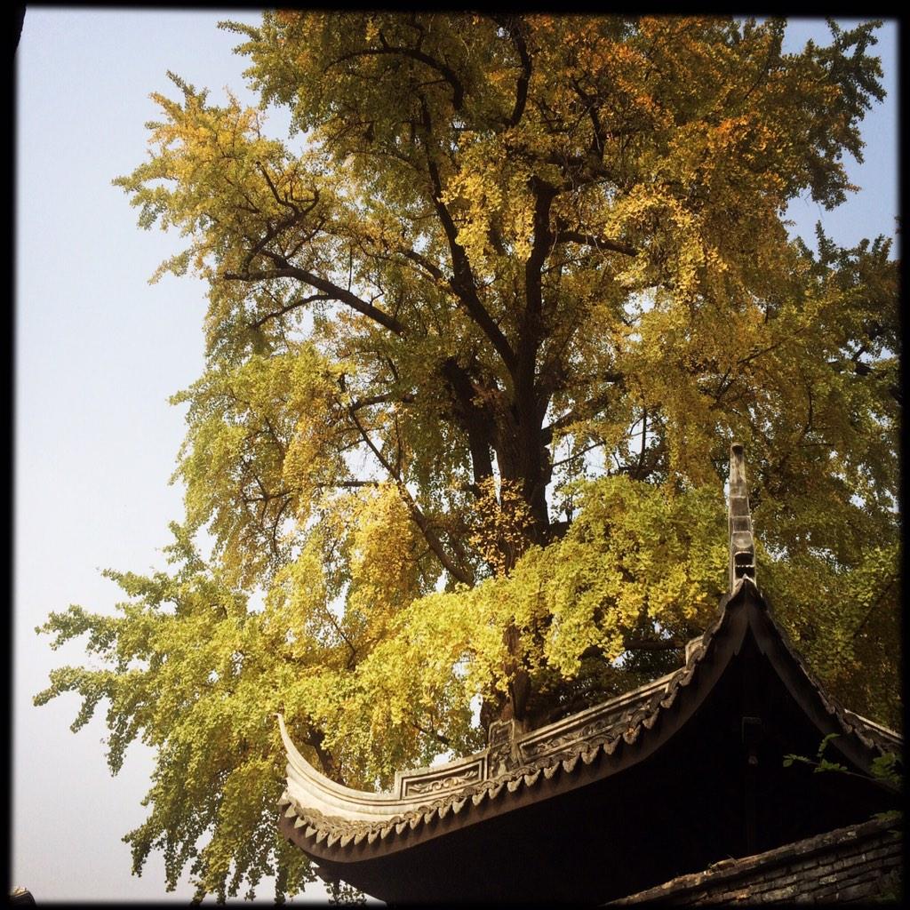 tuixianglife's tweet photo. 11月11日的美味，要从肠计议，不是肥肠、肠粉，而是推享腊肠，臻选川味烟熏麻辣，欢迎光顾 今日预定开启，低价218元 http://t.co/bHnmYiWSI8 http://t.co/ejcwF6pHIO