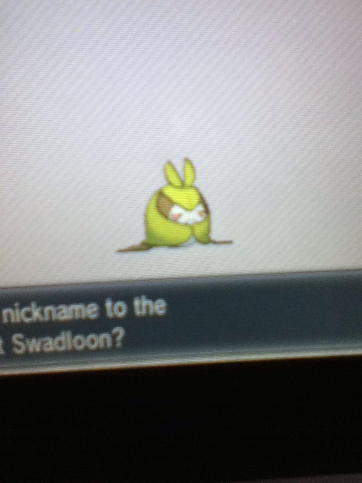 JD1364's tweet photo. Got a shiny #killmenow http://t.co/p8MB8EFPP5