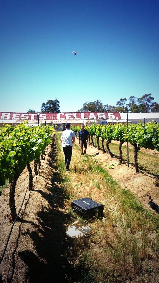 BestsWines's tweet photo. Putting our piece of Victoria on your table today with @FoodCornish @Melbfoodandwine #PVOYT #melbfoodandwine http://t.co/cfjSaFDuuU