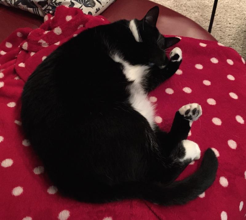 Embedded image permalink