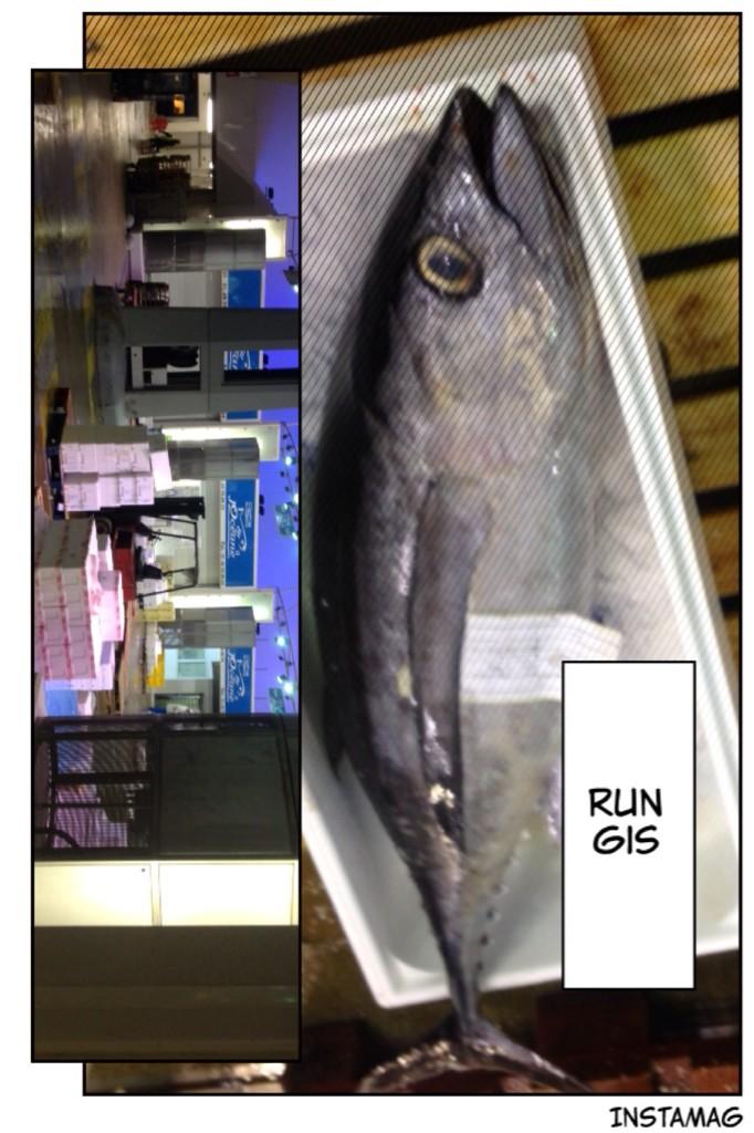 DiopElton's tweet photo. Rungis International Market http://t.co/d0TAdc7acC