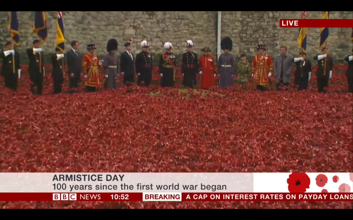 PaulCumminsMBE's tweet photo. The installation is complete. #TowerPoppies #ArmisticeDay #WeWillRememberThem http://t.co/FV2NWoBISp