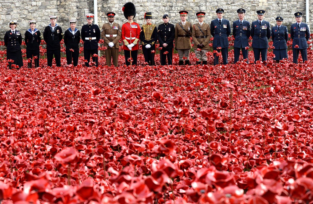 поппи дэй. Remembrance day. Remembrance day the royal british legion. Remembrance day is. Remembrance day.