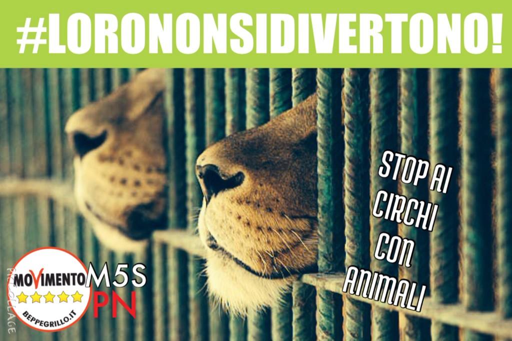 pn5stelle's tweet photo. #LORONONSIDIVERTONO Stop ai Circhi con Animali #M5SPN @Animalisti_FVG http://t.co/0OUL32YPtx