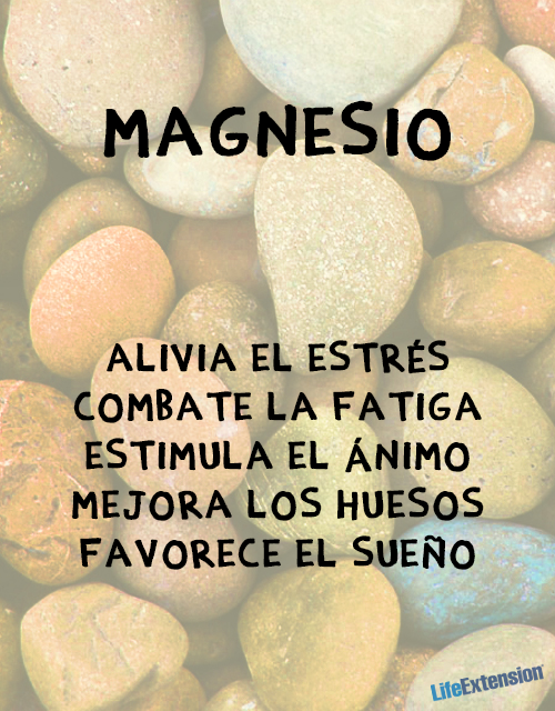 LifeExtensionES's tweet photo. El #magnesio es el rey de los suplementos. ¿Estás de acuerdo? http://t.co/PARFFTf8s2

#suplementos #LEE http://t.co/fc6CIXFGzq