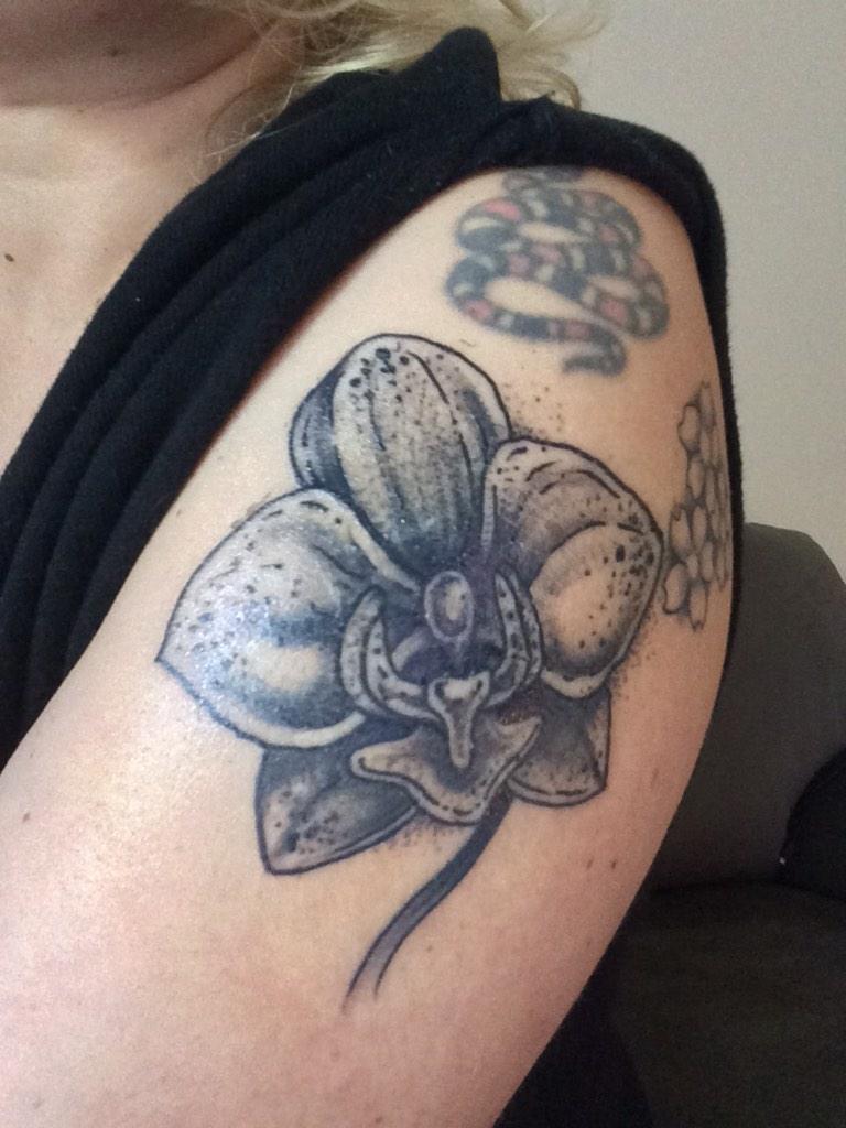 PrinceHarry13's tweet photo. @AlohaTattoosBcn love my orchid. Healing nicely. #gracias http://t.co/2znTdmGJjx