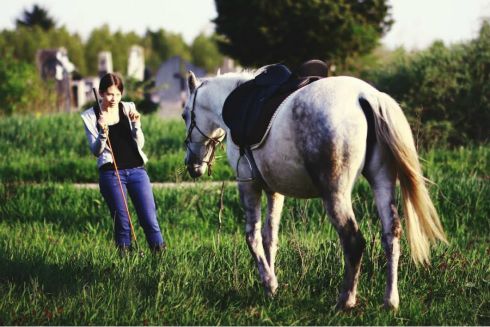 zivotinje.rs tweet media