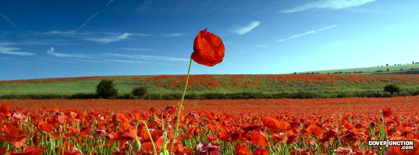 LiveWell_AtHome's tweet photo. Lest we forget #ArmisticeDay #RemembranceDay http://t.co/EILysikOBY