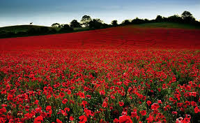 DoningtonParkUK's tweet photo. Lest We Forget http://t.co/yWlOhufTaQ