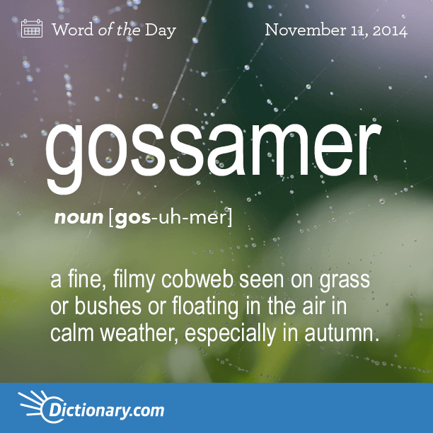 Dictionarycom's tweet photo. Share an example sentence with us!

Read the full definition here: http://t.co/N2sLCHjNqG http://t.co/6NUIsgdGjv