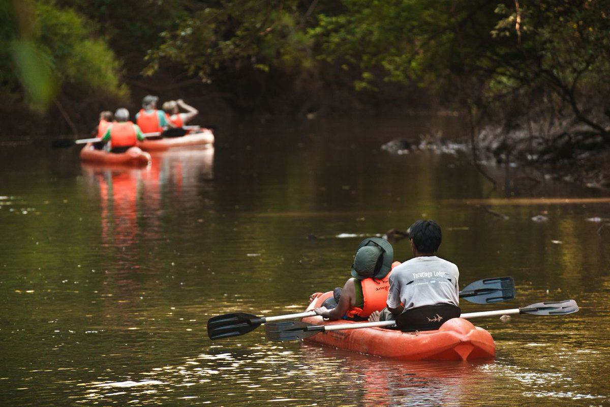 RnfrstAll_UK's tweet photo. Rnfrst Alliance Verified lodge @YacutingaL have been #ecotourism leaders for 15yrs! http://t.co/btvIKRt8p4 #Argentina http://t.co/3qwIw6vwiP