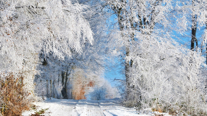 Momiji356's tweet photo. Winter http://t.co/u2z59ReZ2F