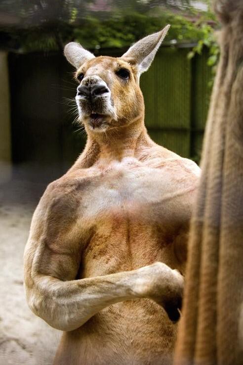 JasFly's tweet image. You're killing me. “@thatladyj: Like... http://t.co/IxuhsAnSAp”