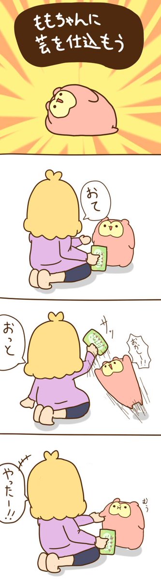 ももちゃんに芸を仕込もう 