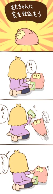 ももちゃんに芸を仕込もう 