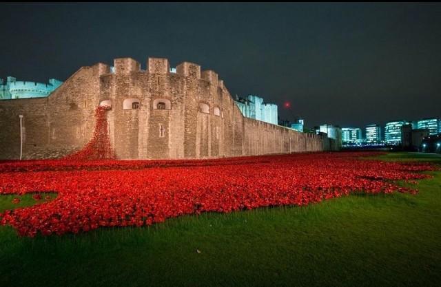 888,246 ceramic poppies-each 1 representing a British &amp; Commonwealth life lost in WW1. #Poppiesatthetower #poppyproud