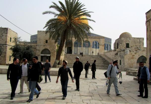 PalestinianMess's tweet photo. Today morning : Colonizers stormed Al-#Aqsa mosque .. AGAIN 
#HandsOffAlAqsa #Palestine 
#فلسطين #الأقصى_لنا

 http://t.co/Q59ZAJdMqx