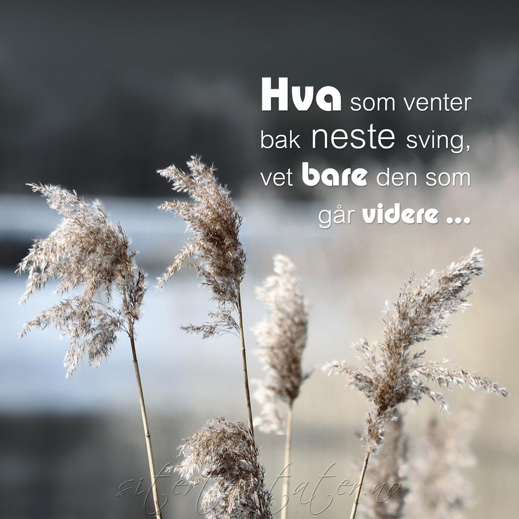 hver gang vi møtes 2013.html