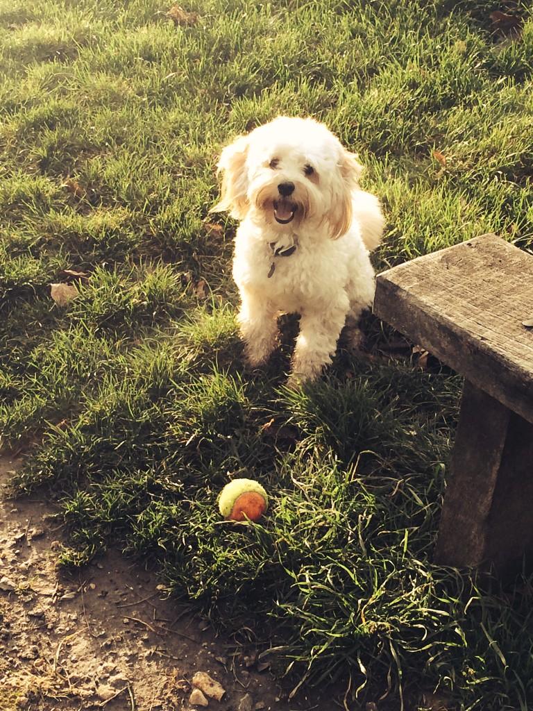 NickyTraynor's tweet photo. Someone is super excited for their second day at work @atom42 http://t.co/8GbXnnbQH1