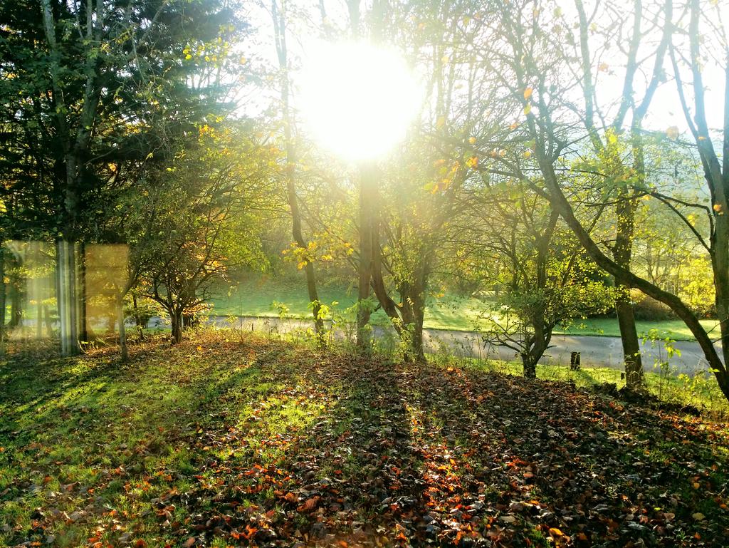 deangelder44's tweet photo. The Yorkshire dales #thefalls #aysgarth #wensleydale http://t.co/mLcGbZvwDD