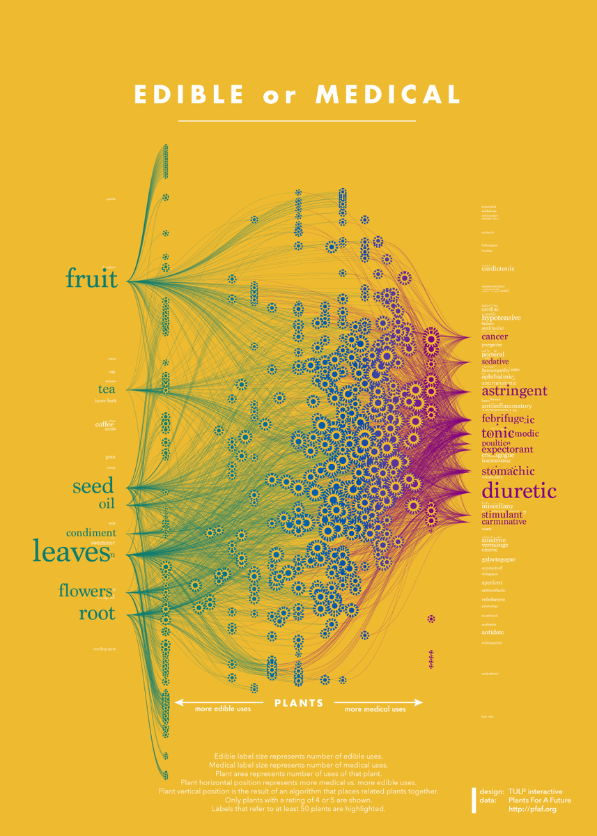 JanWillemTulp's tweet photo. I can finally show my #dataviz I created for #naturalrecall http://t.co/C8DVDAg6fu… will be exhibited in Venice, IT http://t.co/voDQA8xPoY