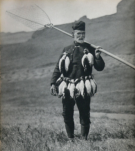 CriptoNatura's tweet photo. Catching pufffins on the island Mykines, the Faroe Islands (1934) http://t.co/LSBQ7dYtAQ http://t.co/RcvcJvQVQ4