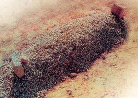 تدري متى تضيق بك كل الاوطان
لا خاب ضنك في رفيق تصونه

وتدري متى تصبح ضحيه للاحزان
لا شفت مصدر فرحتك  يدفنونه