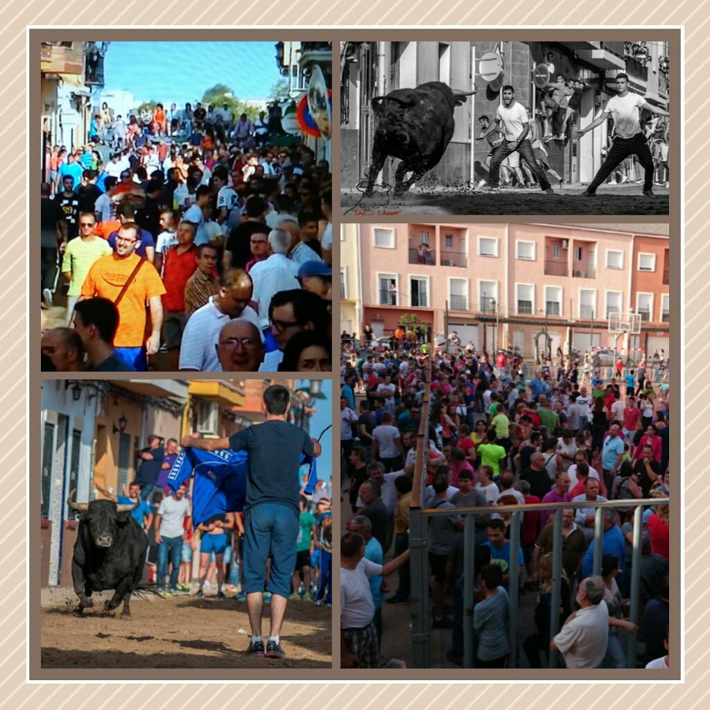 viruiz86's tweet photo. Repasando la temporada 2014. Bous a Emperador. La força d'un Poble! Fem Bou, fem Cultura i Tradició! #Culturadebou http://t.co/0EfKsL0JSW