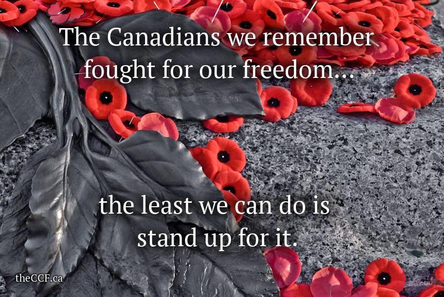 JennLSmith89's tweet photo. I remember #RemembranceDay #RememberThem http://t.co/7KHmo21XYH