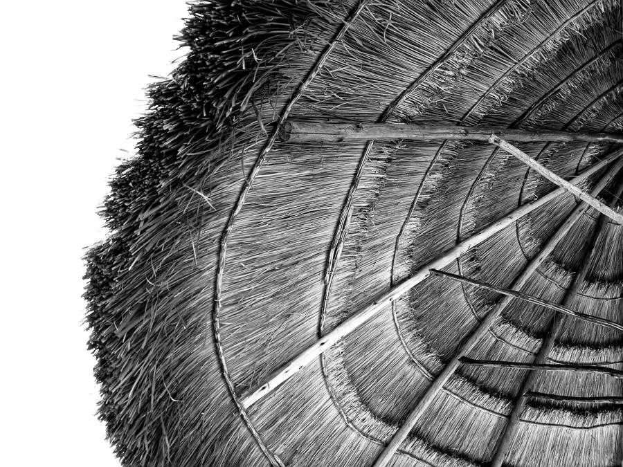 alrocha's tweet image. I only see in bw whith my #hueless #hueless