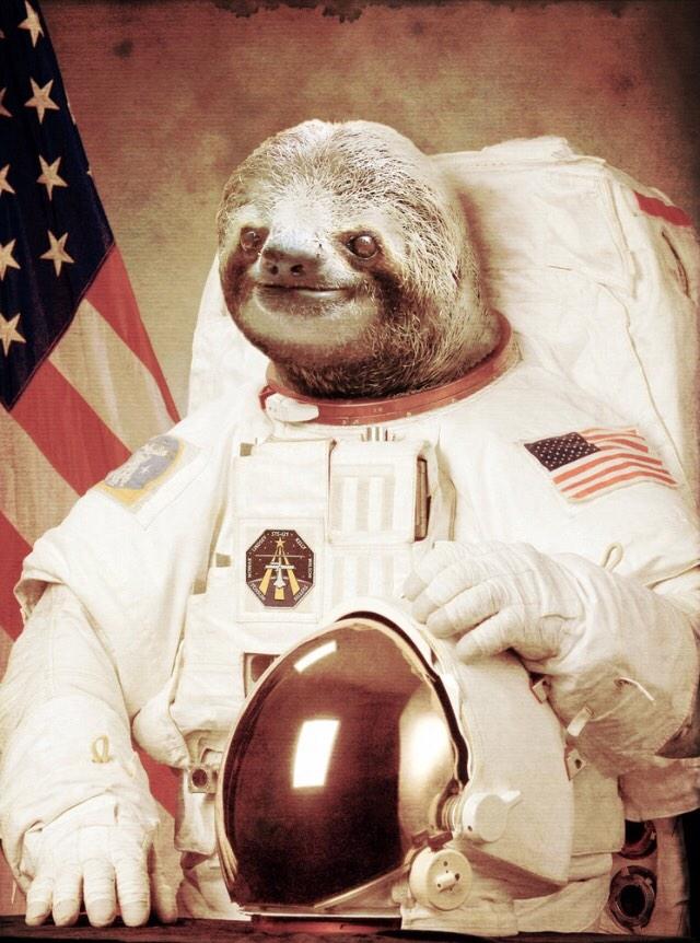 LexWeb's tweet photo. Astronaut sloth says "hello" http://t.co/6EFJA9I8eM