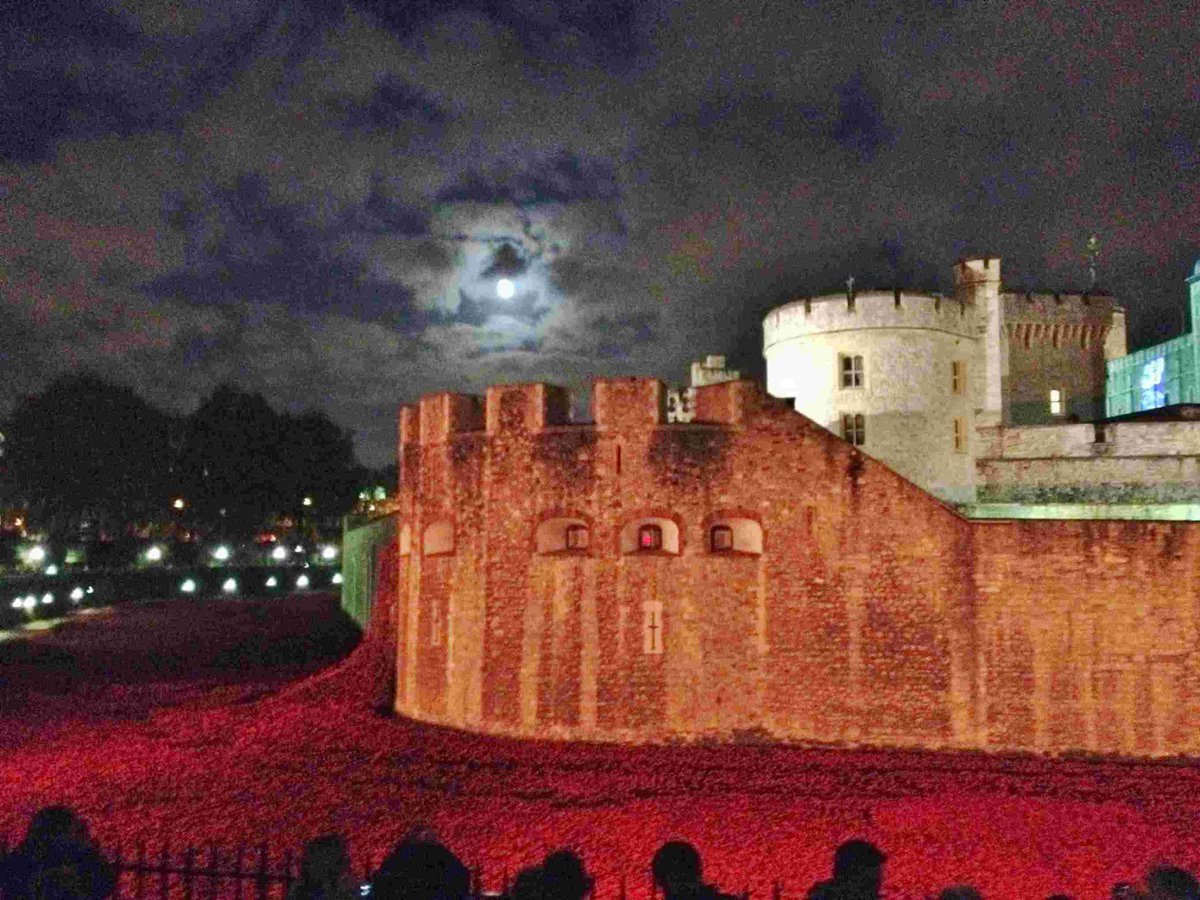 singerrecords's tweet photo. #petersarstedt A mobile phone shot of the Remembrance #
poppies at the Tower of London last week. To Say Goodbye http://t.co/CYL81vYZiv