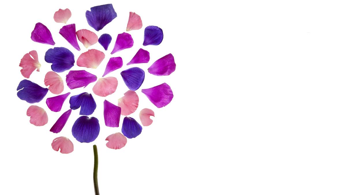 HarvardBiz's tweet photo. 3 types of follow-up questions that will enable you to understand more about a person: http://t.co/tjZI1od4ZN http://t.co/tPs5fpfEwY